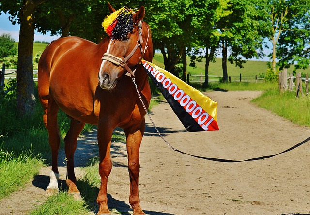 精华的总结 精华的总结