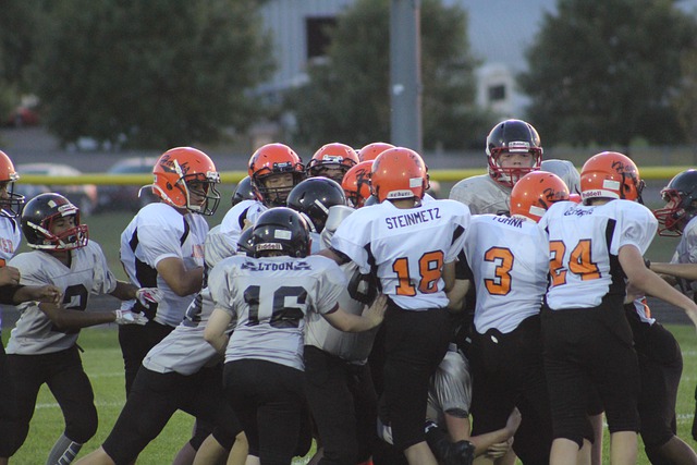 队的支持者 队的支持者