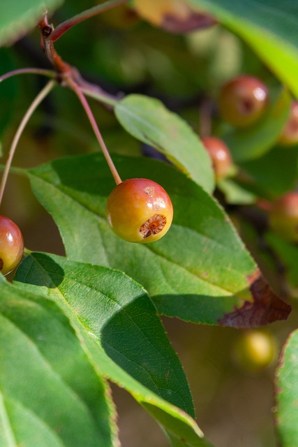 关键分数 关键分数
