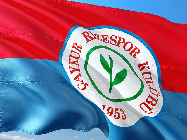 江體育進一 江體育進一