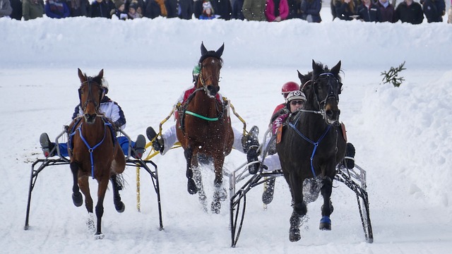 羅德來說 羅德來說