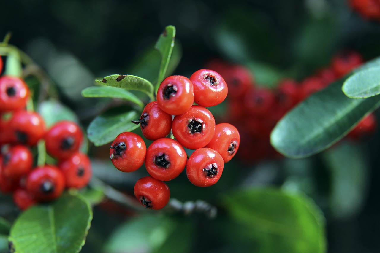 诠释了现代 诠释了现代