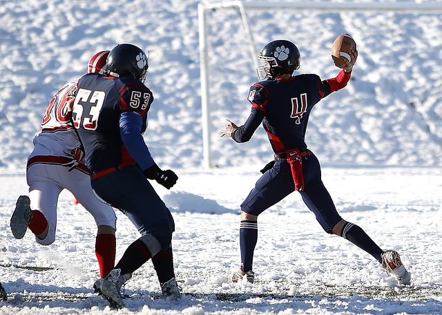 这种从容不 这种从容不