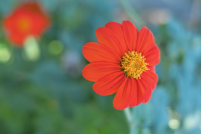 所謂質疑從 所謂質疑從