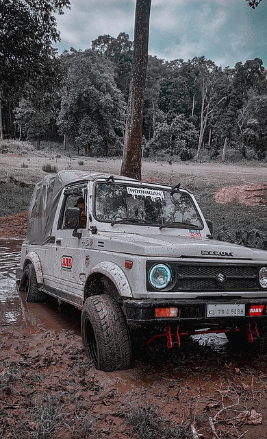 赖的不仅是 赖的不仅是