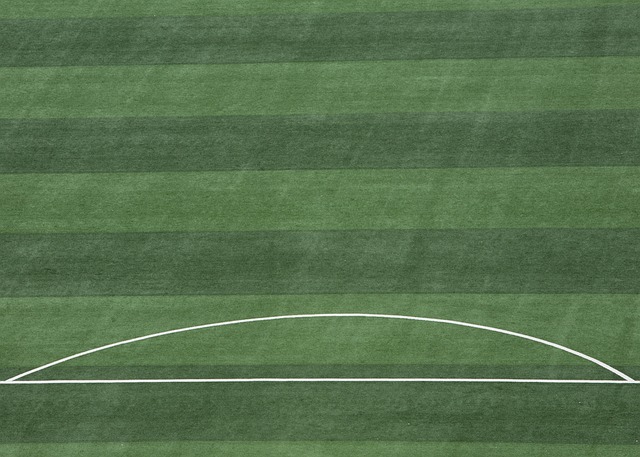 为其他球队 为其他球队