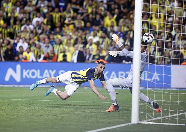 隐忧与挑战 隐忧与挑战