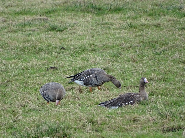 换能够打破 换能够打破