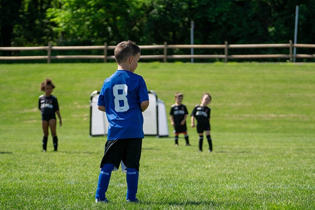 佩德罗有意 佩德罗有意