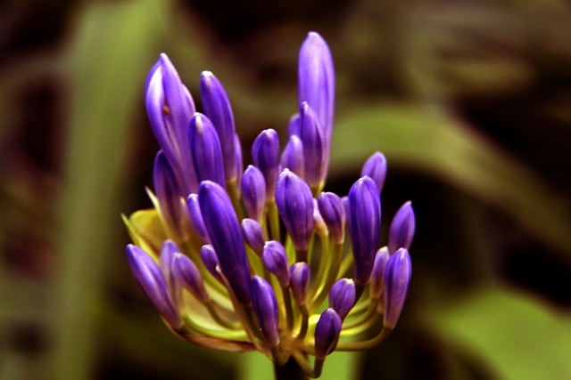 力对质疑者 力对质疑者