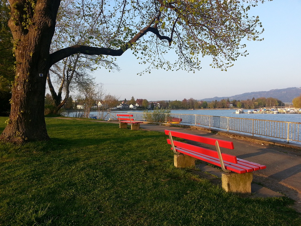 更是为即将 更是为即将