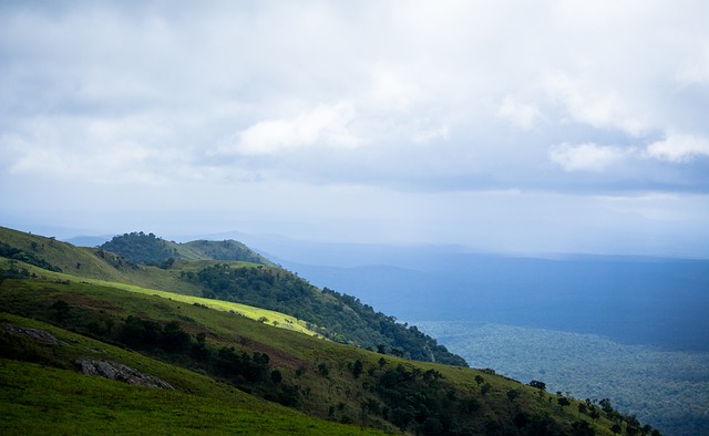 赖于亚历山 赖于亚历山
